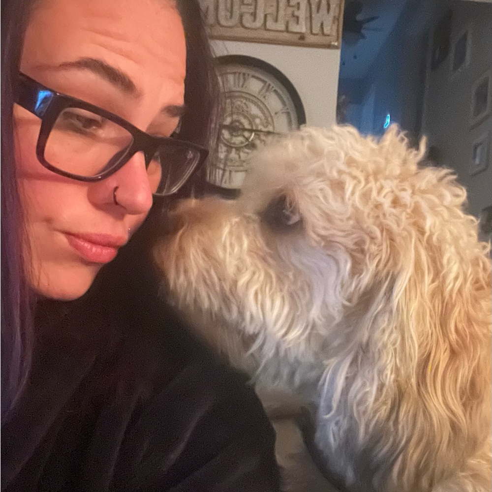 Share show - Picture 4 of 7